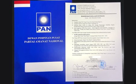 DPP Partai Amanat Nasional Keluarkan Surat Untuk Pandu Kesuma Dewangsa