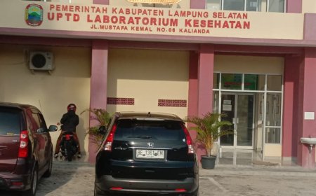 Dinas Kesehatan Kabupaten Lamsel Pakai Ornumen Siger Ngawur