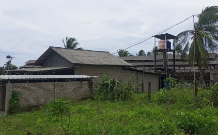 Pemilik Kandang Ayam Petelur Tidak Kantongi Izin Bisa Didenda 3 Miliar Dan Penjara 3 Tahun