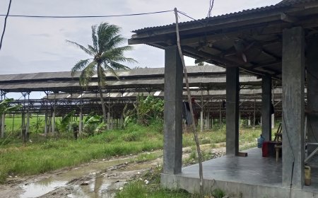 Di Terpa Isu Tak Berizin Pengusaha Ayam Petelur di Desa Mekar Mulya Pemilik: Itu Hoaks